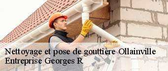 Nettoyage et pose de gouttière  ollainville-91340 Entreprise Georges R