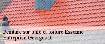 Peinture sur tuile et toiture 91 Essonne  Entreprise Georges R