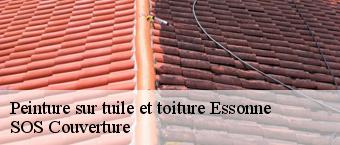 Peinture sur tuile et toiture 91 Essonne  Entreprise Georges R