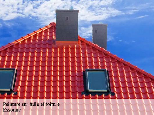 Peinture sur tuile et toiture Essonne 