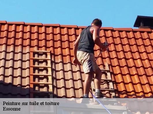 Peinture sur tuile et toiture Essonne 