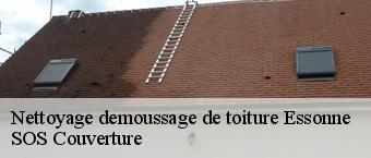 Nettoyage demoussage de toiture 91 Essonne  Entreprise Georges R