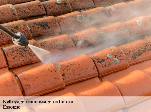 Nettoyage demoussage de toiture Essonne 