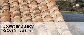 Couvreur blandy-91150