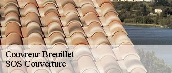 Couvreur breuillet-91650 Entreprise Georges R