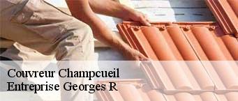 Couvreur  champcueil-91750 Entreprise Georges R