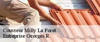 Couvreur  milly-la-foret-91490 Entreprise Georges R
