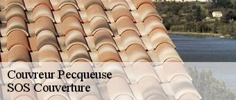 Couvreur pecqueuse-91470 SOS Couverture