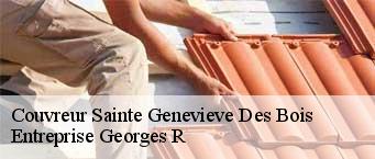 Couvreur  sainte-genevieve-des-bois-91700 Entreprise Georges R