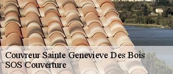 Couvreur  sainte-genevieve-des-bois-91700 Entreprise Georges R