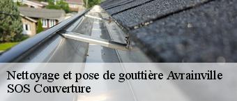 Nettoyage et pose de gouttière  avrainville-91630 Entreprise Georges R