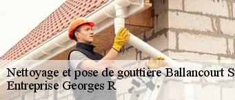 Nettoyage et pose de gouttière  ballancourt-sur-essonne-91610 Entreprise Georges R