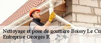 Nettoyage et pose de gouttière  boissy-le-cutte-91590 Entreprise Georges R