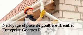 Nettoyage et pose de gouttière  breuillet-91650 Entreprise Georges R