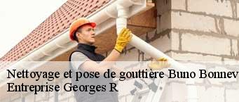 Nettoyage et pose de gouttière  buno-bonnevaux-91720 Entreprise Georges R