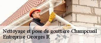 Nettoyage et pose de gouttière  champcueil-91750 Entreprise Georges R