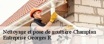 Nettoyage et pose de gouttière  champlan-91160 Entreprise Georges R