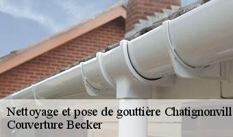 Nettoyage et pose de gouttière  chatignonville-91410 Couverture Becker