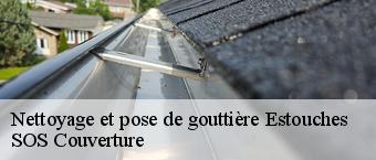 Nettoyage et pose de gouttière  estouches-91660 SOS Couverture