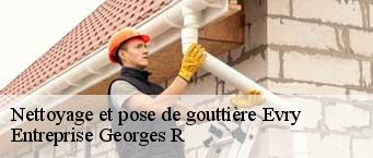 Nettoyage et pose de gouttière  evry-91000 Entreprise Georges R