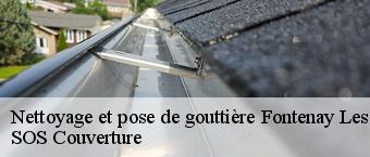 Nettoyage et pose de gouttière fontenay-les-briis-91640 SOS Couverture