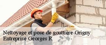 Nettoyage et pose de gouttière  grigny-91350 Entreprise Georges R