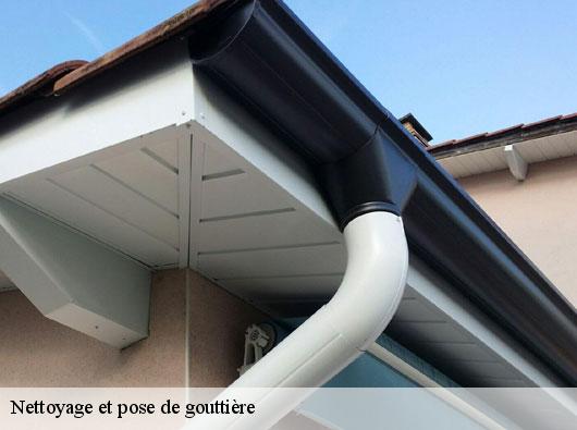 Nettoyage et pose de gouttière