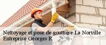 Nettoyage et pose de gouttière  la-norville-91290 Entreprise Georges R