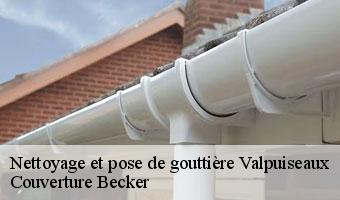 Nettoyage et pose de gouttière  valpuiseaux-91720 Couverture Becker