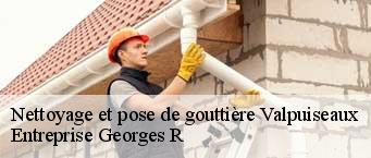 Nettoyage et pose de gouttière  valpuiseaux-91720 Entreprise Georges R