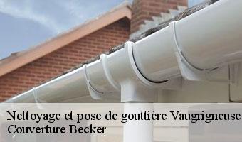 Nettoyage et pose de gouttière  vaugrigneuse-91640 Couverture Becker