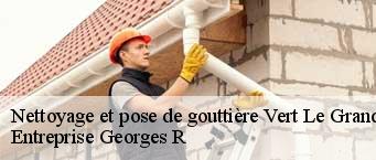 Nettoyage et pose de gouttière  vert-le-grand-91810 Entreprise Georges R