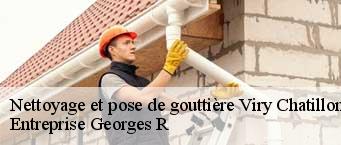 Nettoyage et pose de gouttière  viry-chatillon-91170 Entreprise Georges R