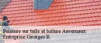 Peinture sur tuile et toiture  auvernaux-91830 Entreprise Georges R