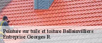 Peinture sur tuile et toiture  ballainvilliers-91160 Entreprise Georges R
