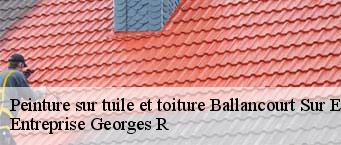 Peinture sur tuile et toiture  ballancourt-sur-essonne-91610 Entreprise Georges R