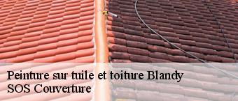 Peinture sur tuile et toiture blandy-91150 SOS Couverture