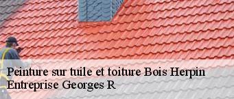 Peinture sur tuile et toiture  bois-herpin-91150 Entreprise Georges R