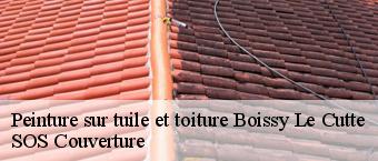 Peinture sur tuile et toiture boissy-le-cutte-91590 SOS Couverture