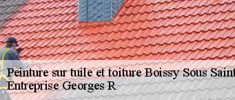 Peinture sur tuile et toiture  boissy-sous-saint-yon-91790 Entreprise Georges R