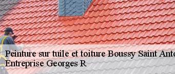 Peinture sur tuile et toiture  boussy-saint-antoine-91800 Entreprise Georges R