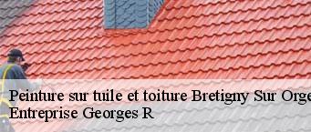 Peinture sur tuile et toiture  bretigny-sur-orge-91220 Entreprise Georges R