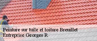 Peinture sur tuile et toiture  breuillet-91650 Entreprise Georges R