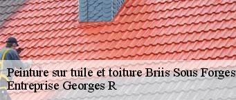 Peinture sur tuile et toiture  briis-sous-forges-91640 Entreprise Georges R