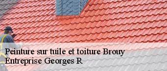 Peinture sur tuile et toiture  brouy-91150 Entreprise Georges R