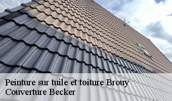 Peinture sur tuile et toiture brouy-91150 Couverture Becker