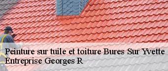 Peinture sur tuile et toiture  bures-sur-yvette-91440 Entreprise Georges R