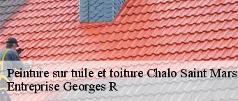 Peinture sur tuile et toiture  chalo-saint-mars-91780 Entreprise Georges R