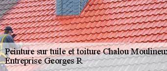 Peinture sur tuile et toiture  chalou-moulineux-91740 Entreprise Georges R