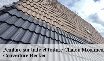 Peinture sur tuile et toiture chalou-moulineux-91740 Couverture Becker